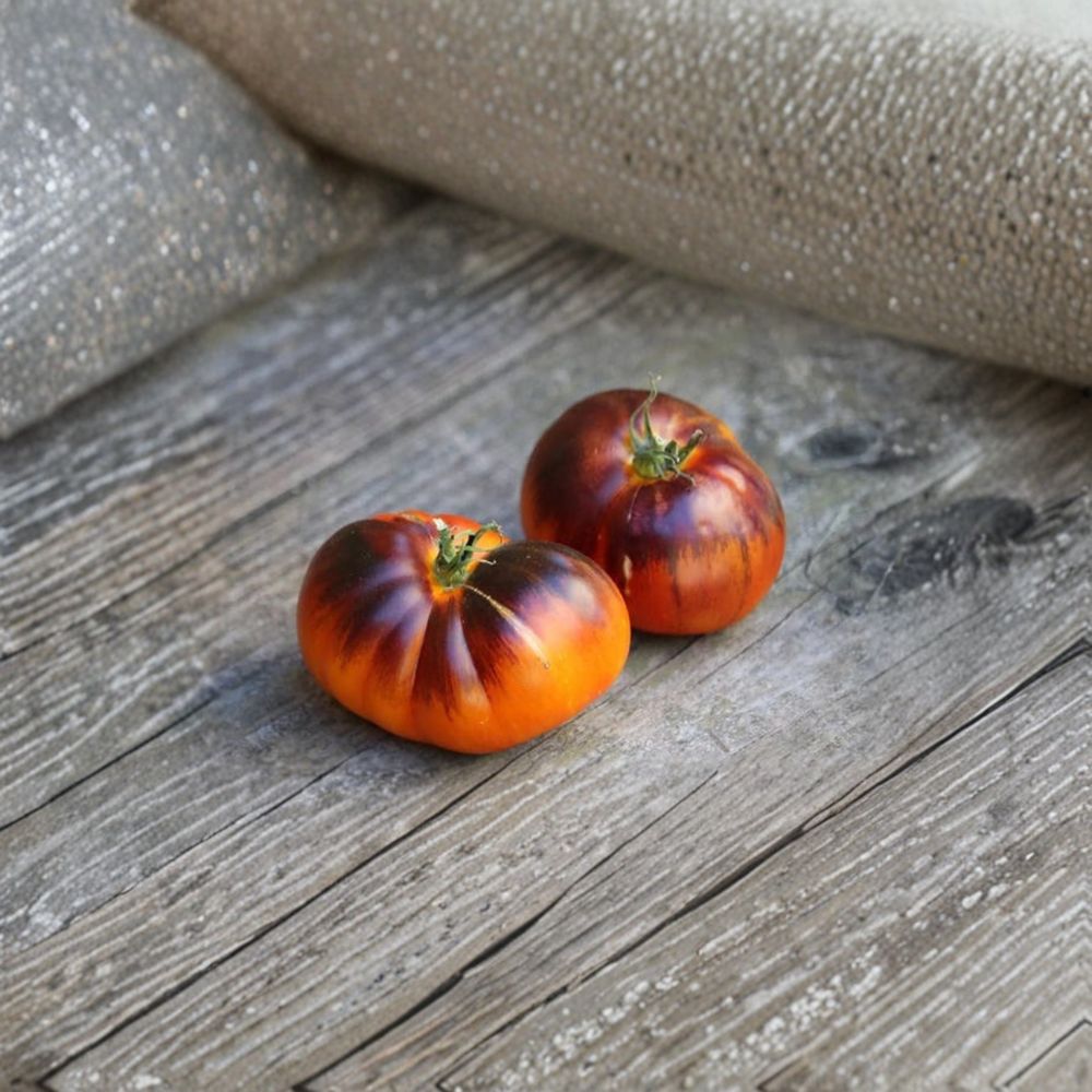 Lucid Gem Tomato Seeds – Heirloom Organic Non-GMO, Container & Garden, Indeterminate, 15 Seeds