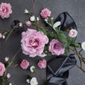 Angel Face Floribunda Rose – 2 Gallon Mauve Lavender Fragrant Rose Bush, Repeat Blooming Garden Shrub, Rosa 'Angel Face'