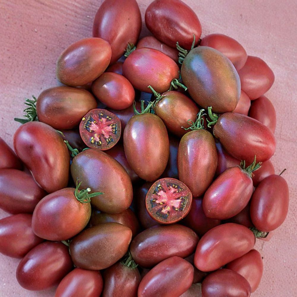 Ukrainian Purple Tomato Seeds – Heirloom Organic Non-GMO Solanum lycopersicum for Garden & Container Growing