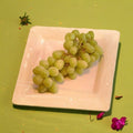 Live Chardonnay Grape Vine 3-Gallon | Vitis vinifera White Wine Grape Plant for Vineyard & Backyard