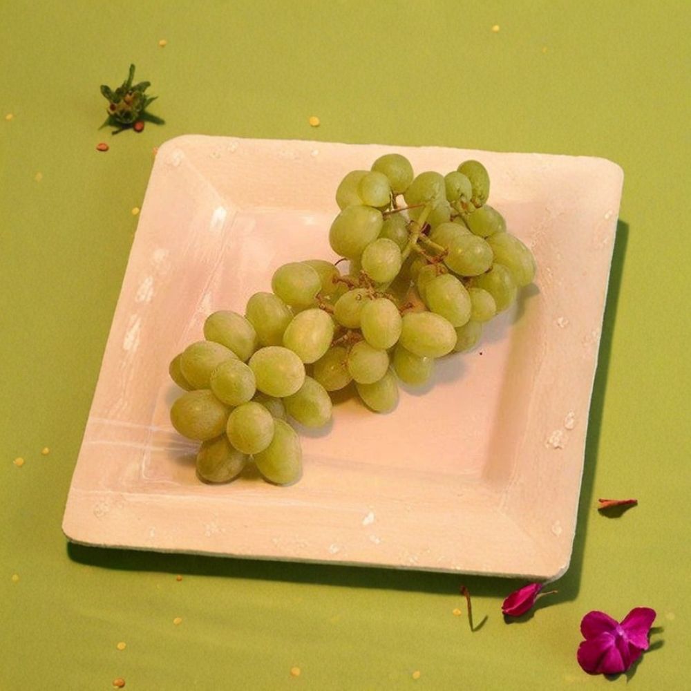 Live Chardonnay Grape Vine 3-Gallon | Vitis vinifera White Wine Grape Plant for Vineyard & Backyard
