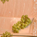 Chardonnay White Wine Grape Vine – Vitis vinifera Live Plant, 3 Gallon, Self-Fertile, Premium White Wine Variety