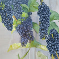 Seedless Grape Vine Live Plant, 3-Gallon Mars Vitis labrusca, Backyard Vineyard, Edible Landscape, Fruitful, Hardy