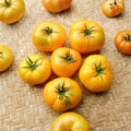 Azoychka Tomato Seeds – Heirloom Organic Non-GMO Russian Yellow Beefsteak Solanum lycopersicum, 50 Seeds