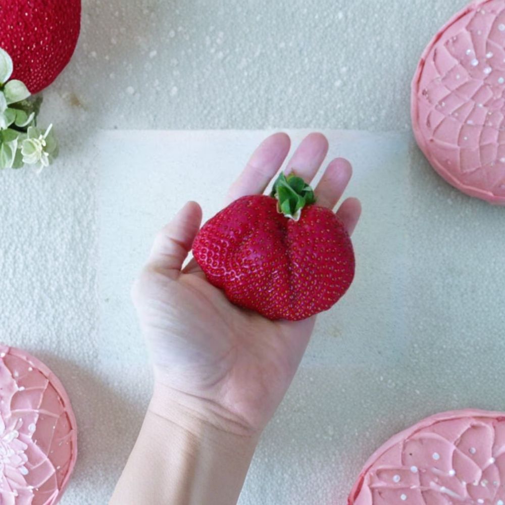 Whopper Strawberry Plants – 5 Live Organic June Bearing Berry Plants, Large Juicy Fruits, Self-Pollinating, Zones 5–10