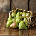 Bare Root Bartlett Pear Tree – Pyrus communis ‘Bartlett’ – Juicy, Sweet Fruit Tree for Patio & Backyard