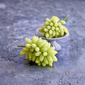 Gold Finger Grape Vine – Vitis vinifera Live Plant, Japanese Golden Table Grape, Sweet 22° Brix, Patio & Backyard Friendly