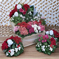 Multibloom Mix Geranium Seeds – 100 Pelargonium Pelargonium x hortorum Assorted Colors, Continuous Bloom, Compact Bushy Growth
