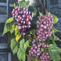 Black Beauty Muscadine Grape Vine – 3 Gallon Live Plant, Sweet Black Grapes, Vitis rotundifolia, Backyard & Vineyard Suitable