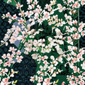 Geranium Tornado White Seeds – Cascading White Blooms, Pelargonium, Container & Basket Friendly, Easy to Grow