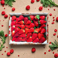 Eclair Strawberry Plants – 5 Live Rooted Fruit Plants – Sweet Juicy Berries – Self-Pollinating – Zones 5–10