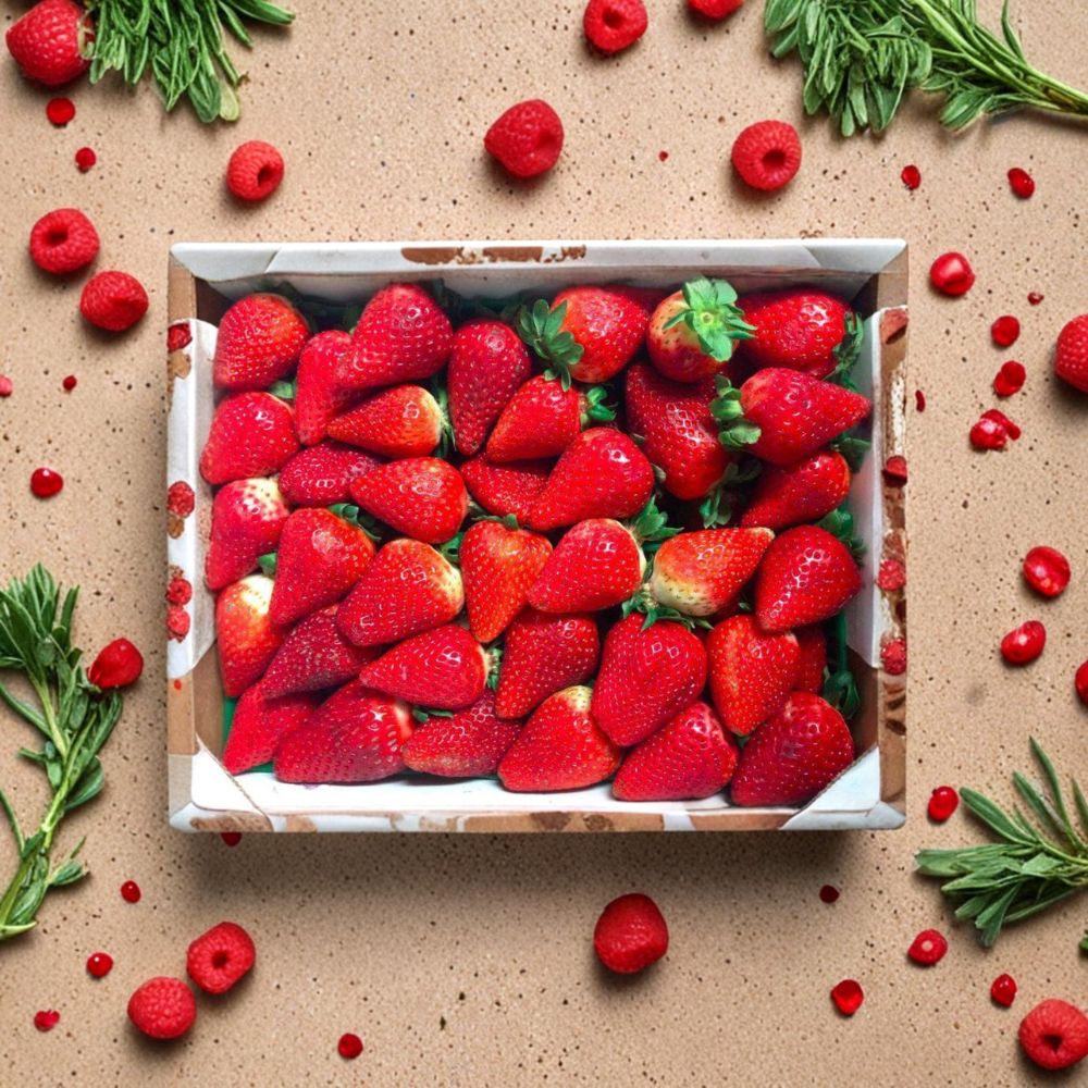 Eclair Strawberry Plants – 5 Live Rooted Fruit Plants – Sweet Juicy Berries – Self-Pollinating – Zones 5–10