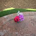 Ivy Geranium Cuttings Mix – 9 Pelargonium peltatum Trailing Flowering Plants for Hanging Baskets & Containers