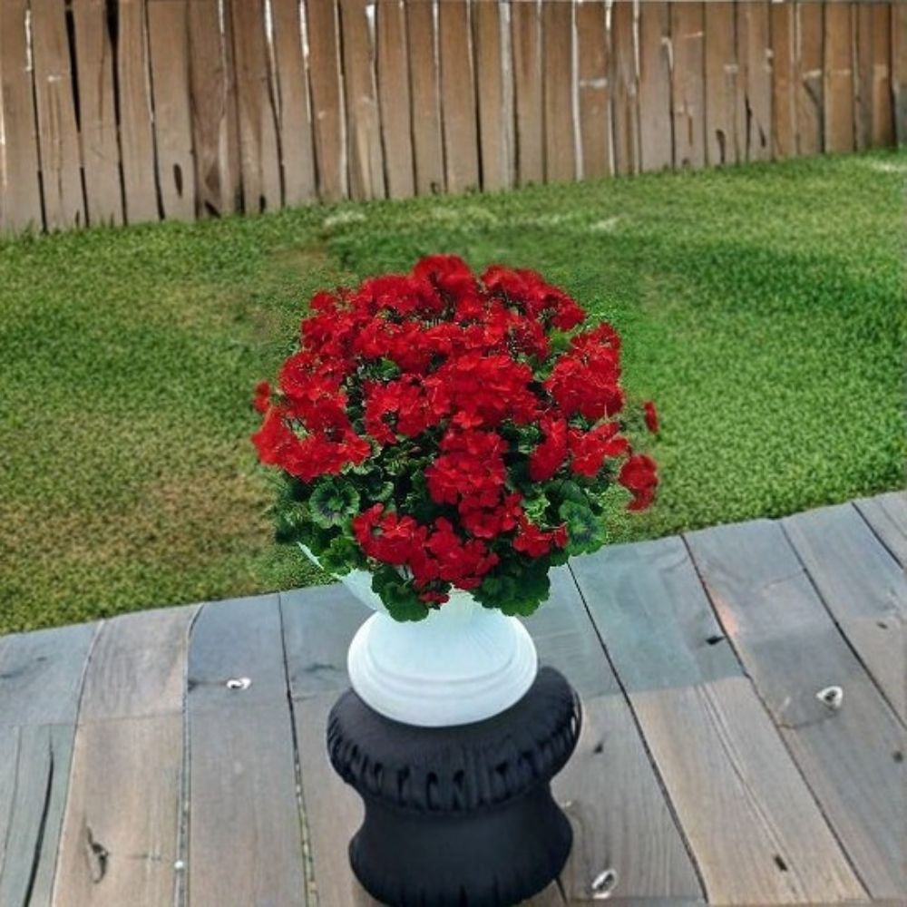 Breakaway Red Geranium Seeds – 100 Pelargonium x hortorum Scarlet Red, Heat-Tolerant Flowering Seeds for Containers & Landscape