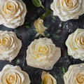 John F. Kennedy Hybrid Tea Rose Bush – 5 Gallon Live Plant with White Blooms, Garden Rose, Easy to Grow