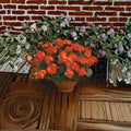 Geranium Maverick Orange Seeds | Pelargonium x hortorum | Bright Solar Orange Blooms | Garden & Pot Planting