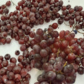 Red Globe Grape Vine 1 Gallon Self-Fertile Vitis vinifera Fruit Plant for Home Garden, Vineyard, Trellis