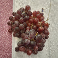 Vanessa Red Seedless Grape Vine – Vitis vinifera Live Plant, 3 Gallon, Sweet Red Seedless Fruit, Self-Fertile, Easy to Grow