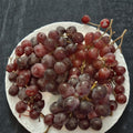 Vanessa Red Seedless Grape Vine – Vitis vinifera Live Plant, 2-Gallon, Self-Fertile, Sweet Red Grapes, Fruit Vine for Garden and Trellis