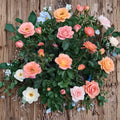 New Year Grandiflora Rose Plant | 2-Gallon Orange Blooming Bush | Rosa Grandiflora 'New Year' Flowering Shrub