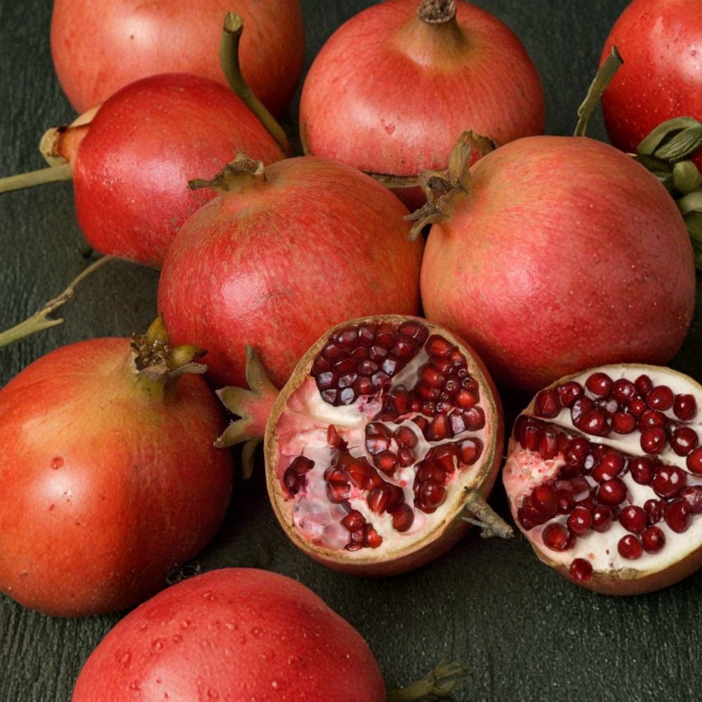 Wonderful Pomegranate Tree – 3 Ft Live Punica granatum Fruit Tree with Red Fruit, Self-Fertile, Potted Plant