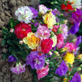 Lisianthus Seeds for Planting - 1000 Mixed Color Eustoma Flower Seeds, Thornless, Garden, Cut Flower, Eustoma grandiflorum