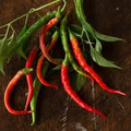 Cayenne Long Thin Pepper Seeds | Heirloom, Non-GMO | 30,000-50,000 Scoville | 75 Days | USDA Zones 4-10 |